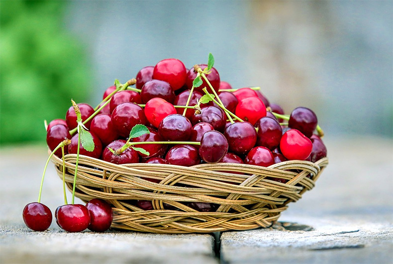 Foto: Pixabay/ fotos gratis