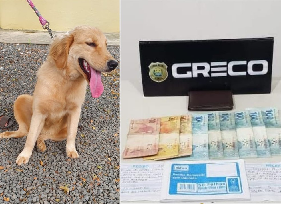 Suspeita de negociar venda de cachorros online é presa por estelionato