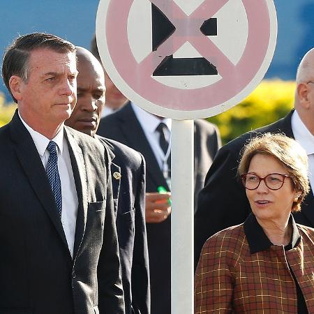 Governo edita MP para legalizar 300 mil posses rurais, 86% na Amazônia