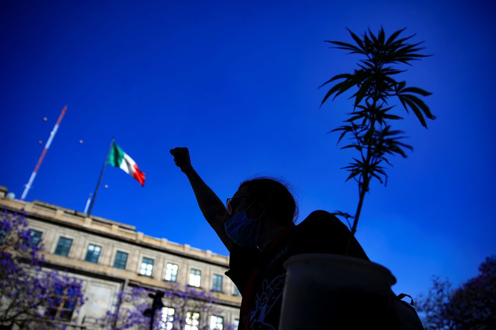 Ativista a favor da legalização da maconha na Cidade do México.CARLOS RAMÍREZ / EFE