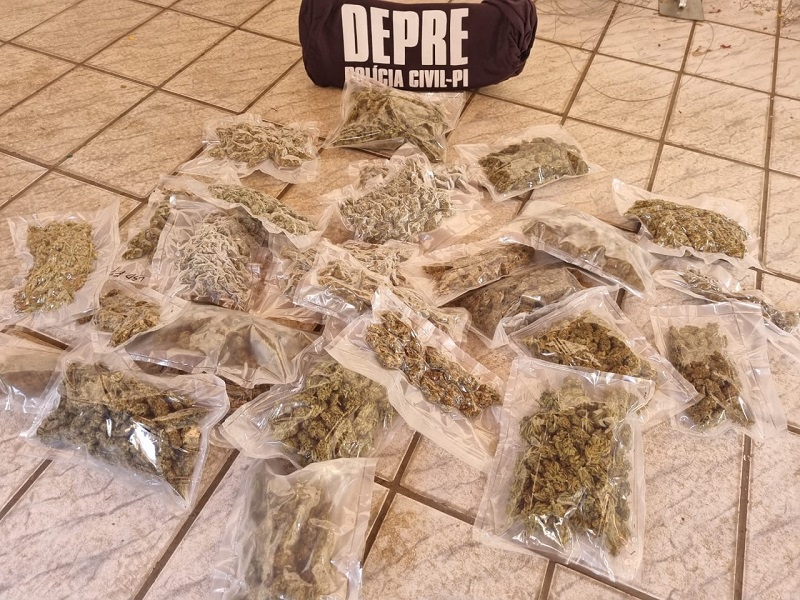 Droga apreendida com o suspeito (Foto: divulgação PC-PI)