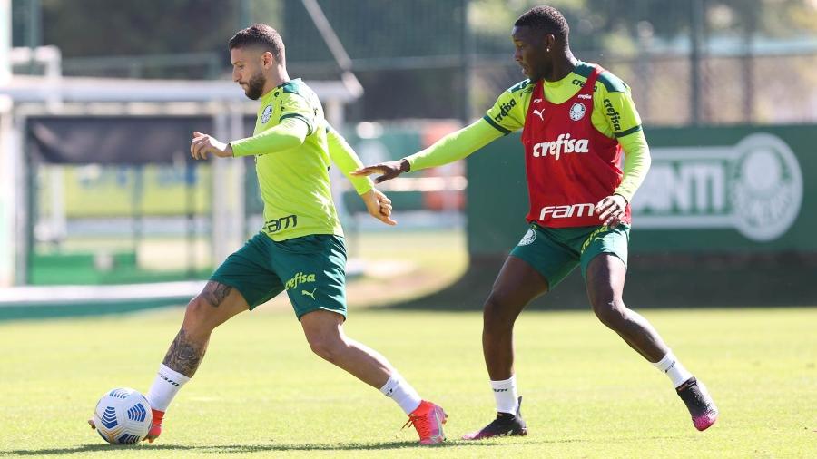 Jogadores do Palmeiras durante atividade na manhã desta quarta-feira - Imagem: Reprodução/Palmeiras