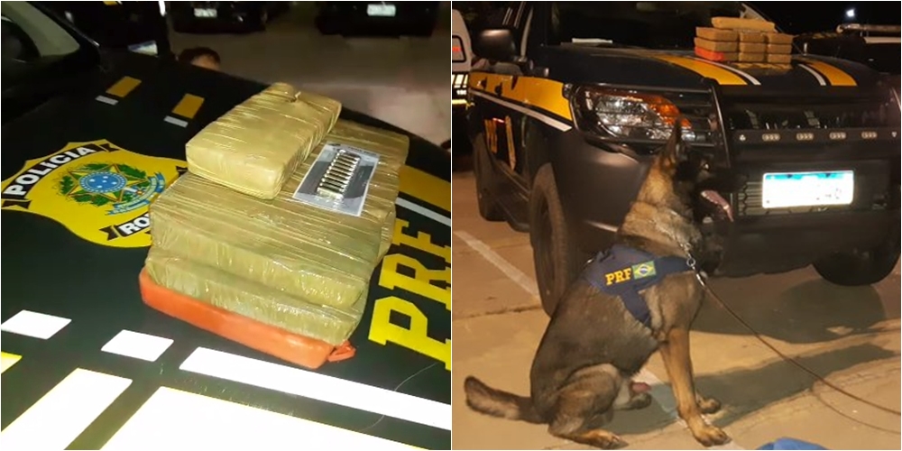 PRF apreende droga avaliada em R$ 1,1 milhão em Teresina