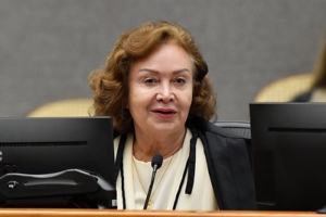 Em exceção de pré-executividade, é cabível a complementação de provas