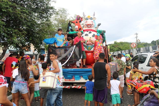 Bloco Vaca Atolada arrasta foliões em Teresina — Foto: Lucas Marreiros/G