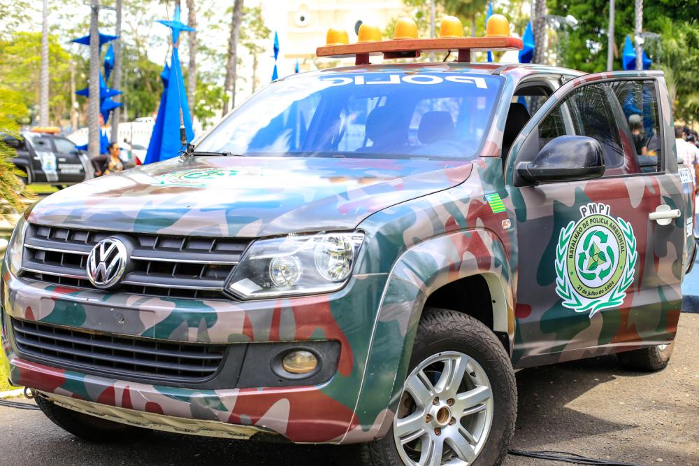 Homem é preso após matar gato com golpes de facão em Teresina