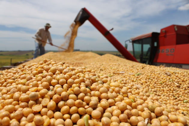 Cerrados do Piauí se preparam para produzir 7 milhões de toneladas de grãos