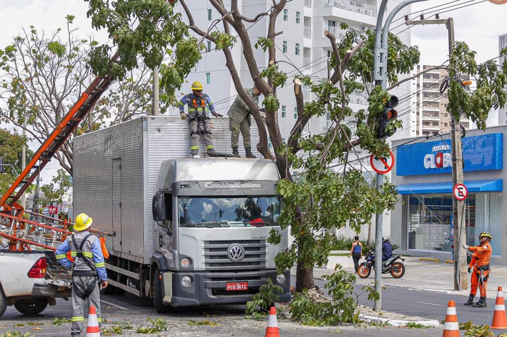 Árvore cai em cima de caminhão na zona leste de Teresina