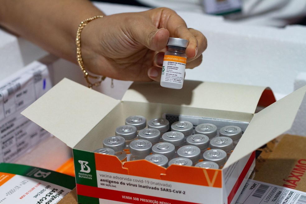 Piauí negocia compra de 500 mil doses de CoronaVac — Foto: Miva Filho/SES