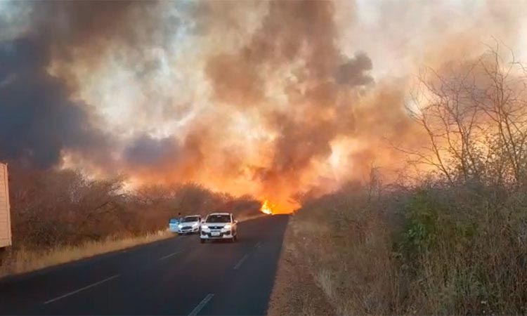 Cresce em 125% focos de incêndio e PI bate recorde histórico de queimadas
