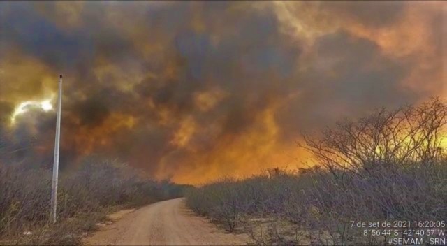 Incêndio de grandes proporções ameaça Parque Nacional da Serra da Capivara