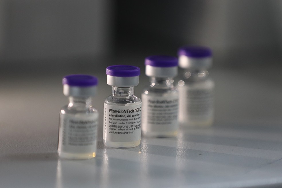 Piauí recebe lotes de vacina da Pfizer — Foto: Divulgação