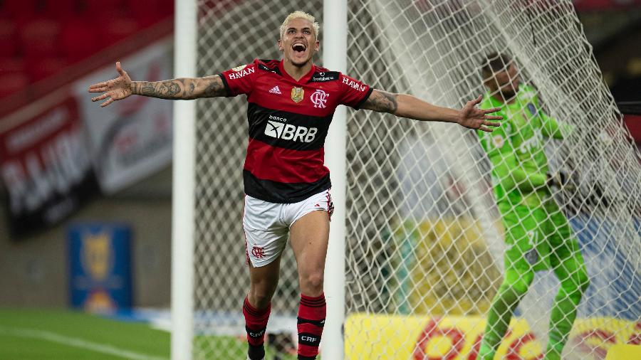 Pedro comemora após marcar pelo Flamengo em jogo contra o Palmeiras | Imagem: Jorge Rodrigues/AGIF