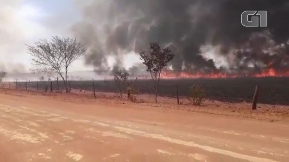 Incêndio de grandes proporções atinge fazendas da zona rural de Currais, no Sul do Piauí