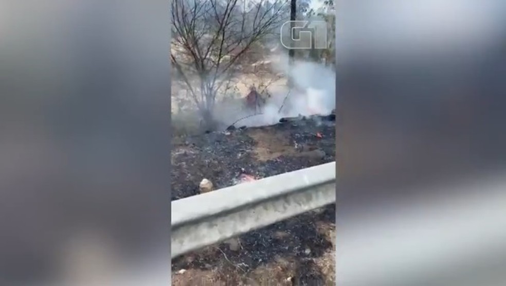 Populares controlam fogo em vegetação às margens da BR-343 — Foto: Reprodução /Redes Sociais