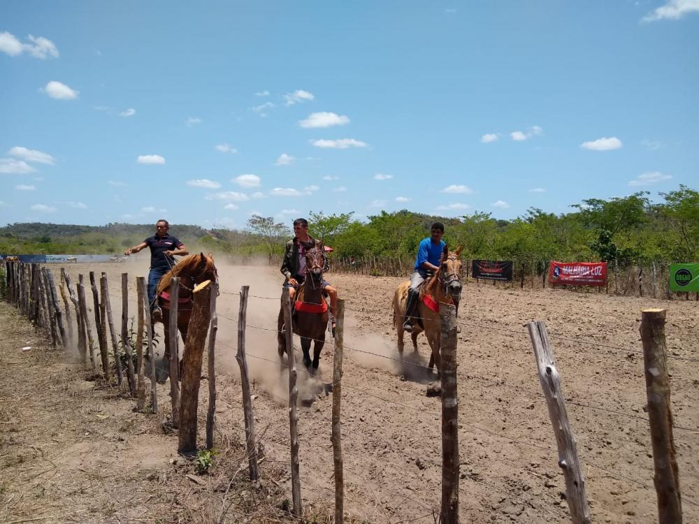 Parque de vaquejada 