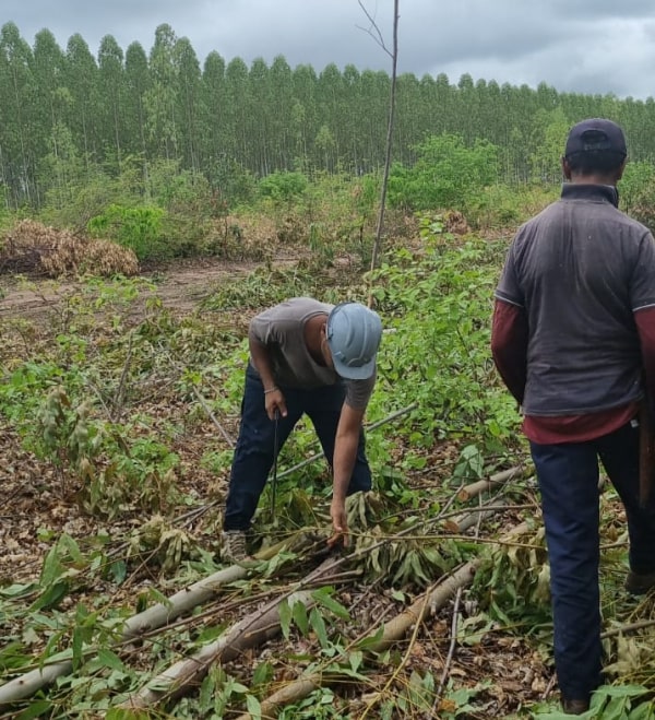 MPT resgata trabalhadores em condição de escravidão dentro de fazenda no Piauí