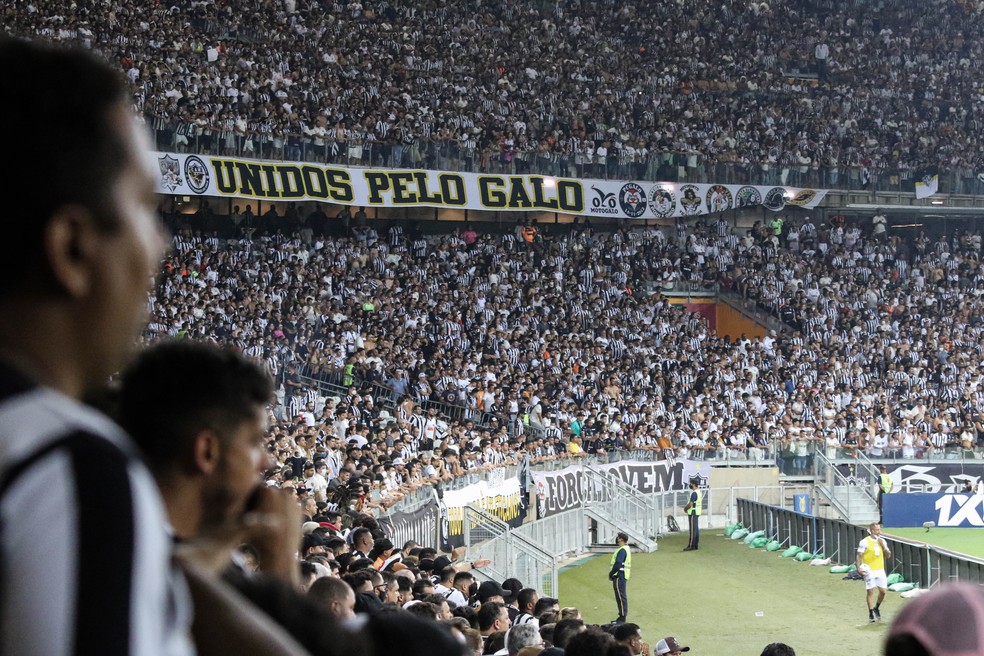 Torcida do Atlético-MG no Mineirão — Foto: Bruno Sousa / Atlético-MG