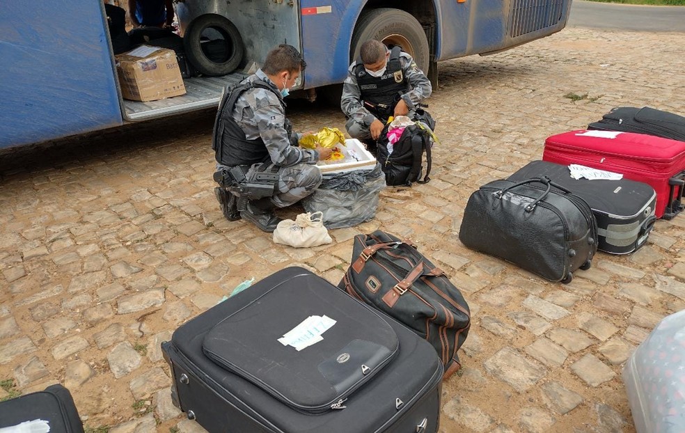 Polícia apreende cocaína escondida dentro de tênis em ônibus interestadual no Piauí