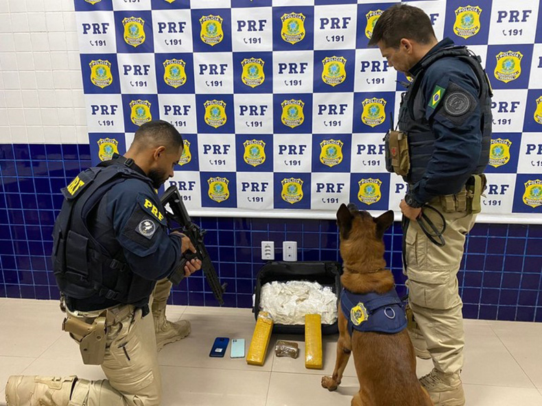 PRF apreende mala com drogas avaliadas em mais de R$ 255 mil na BR-230