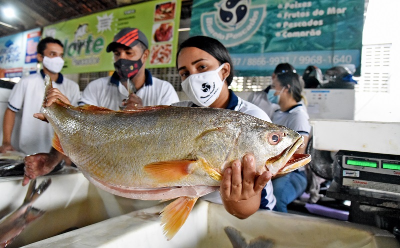 Preço do peixe pode aumentar até 20% na Quaresma; “vai virar comida de rico”