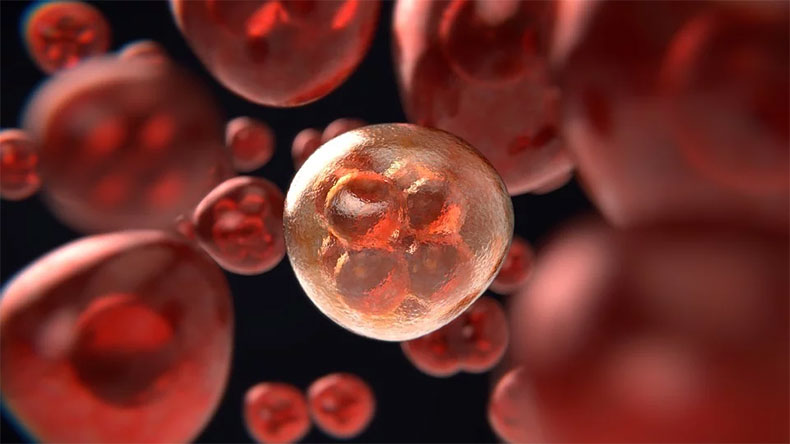 Cientistas descobrem células 'universais' que podem curar vários tipos de câncer