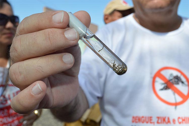Criança de 9 anos morre vítima de dengue em Teresina, confirma FMS