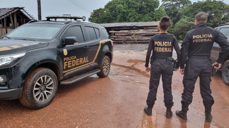 PF cumpre mandados em Teresina contra venda de madeira ilegal