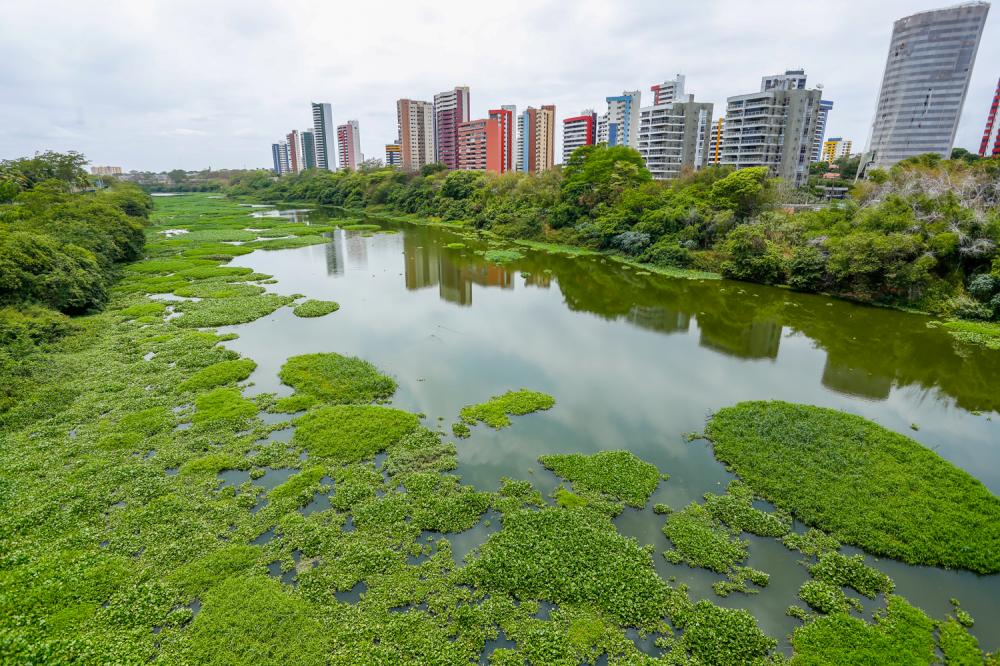 Governo do Piauí publica decreto e faz alterações no ICMS Ecológico